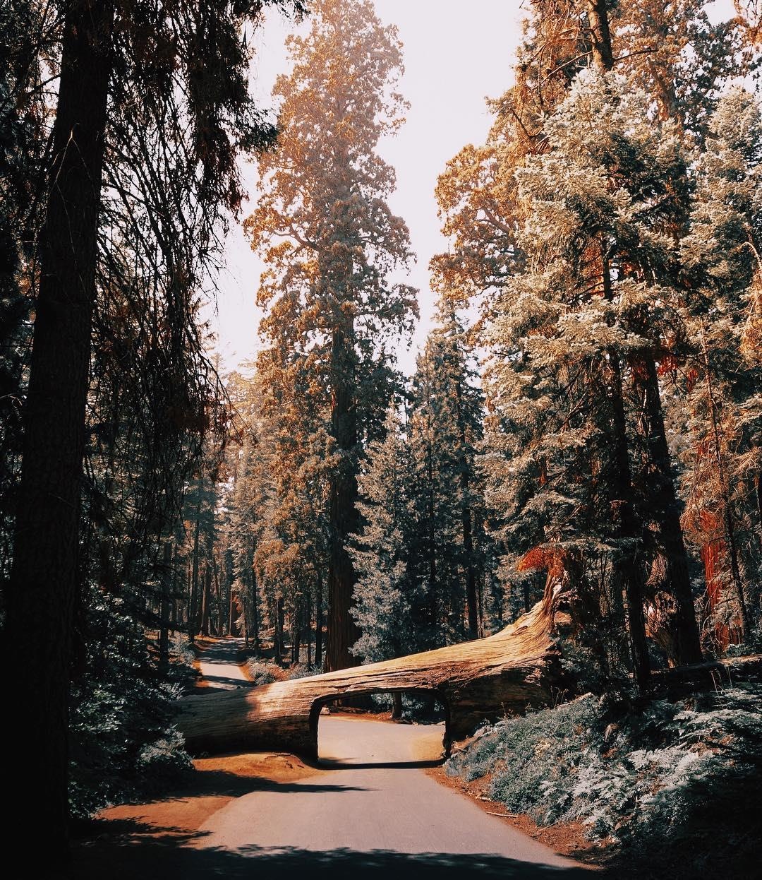 Dia diem du lich o My anh 9