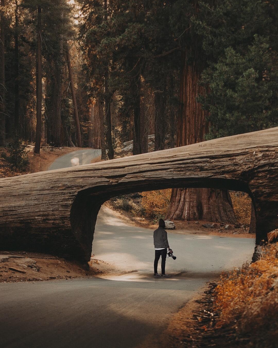 Dia diem du lich o My anh 10