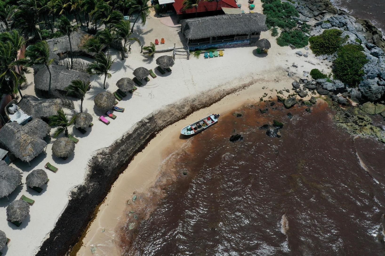 Nuoc bien bien thanh mau nau, boc mui trung thoi tu My den Mexico hinh anh