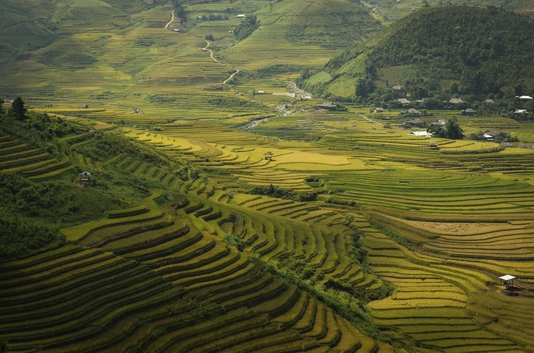 Cung duong lua chin dep nhat anh 3