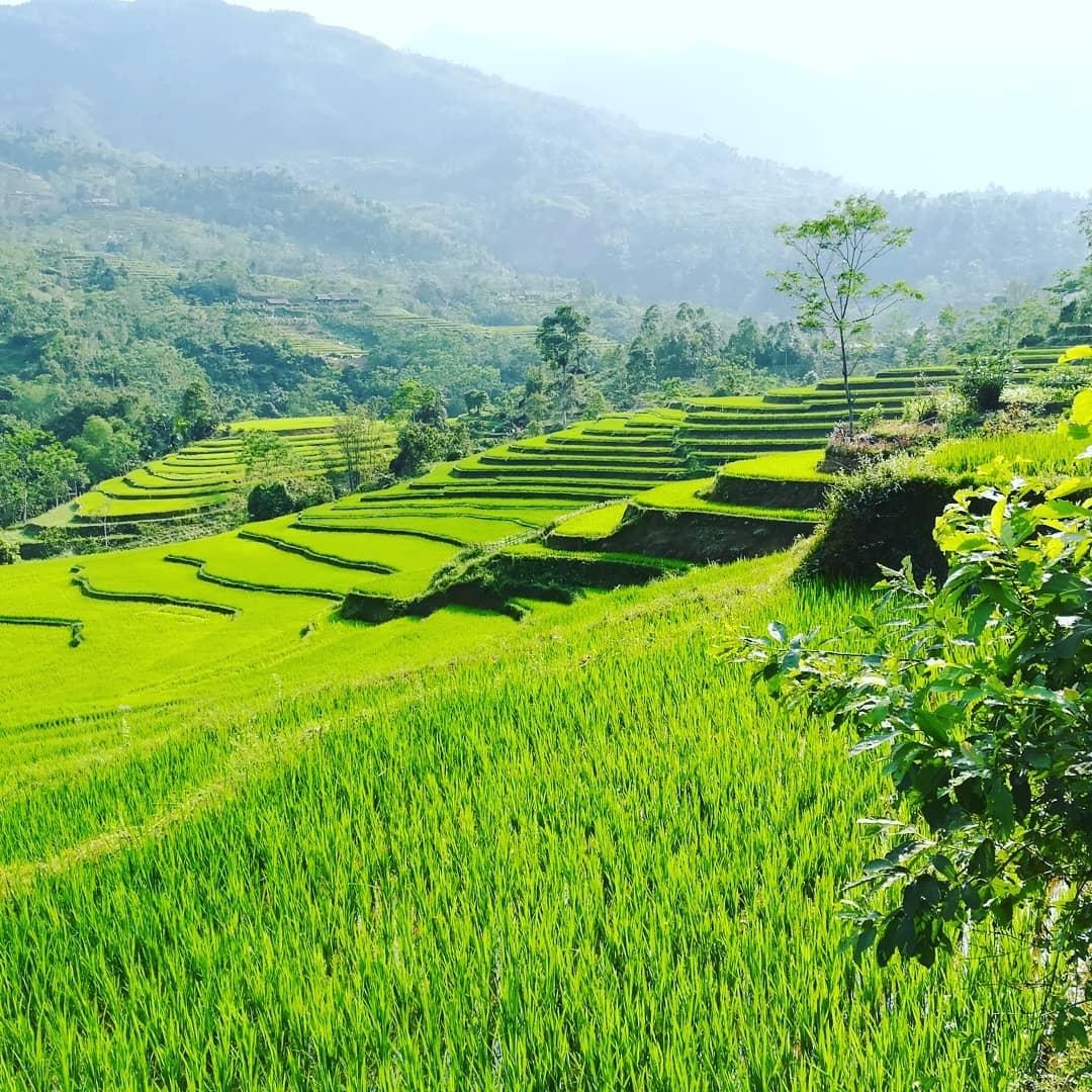 Cung duong lua chin dep nhat anh 7