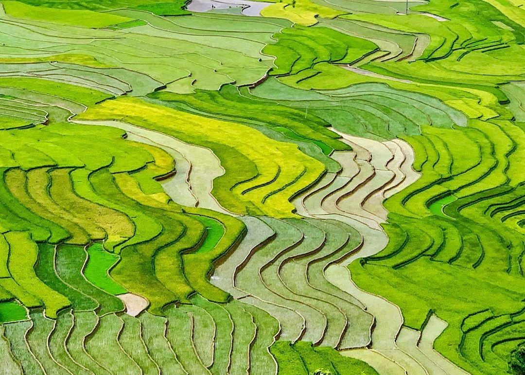 Cung duong lua chin dep nhat anh 4