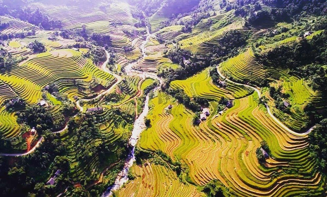 Cung duong lua chin dep nhat anh 8