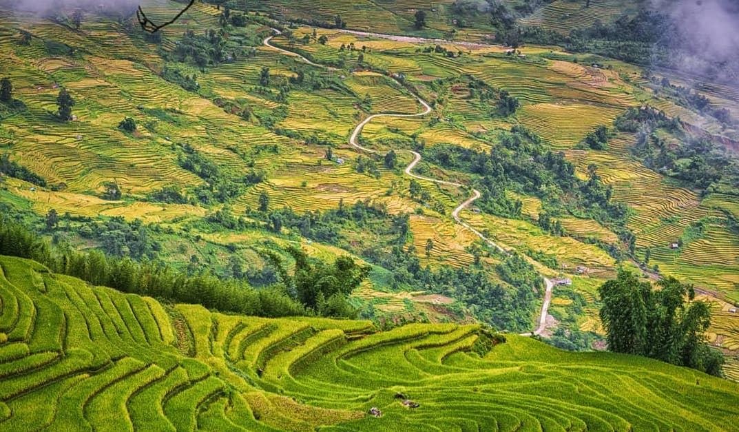 Cung duong lua chin dep nhat anh 2