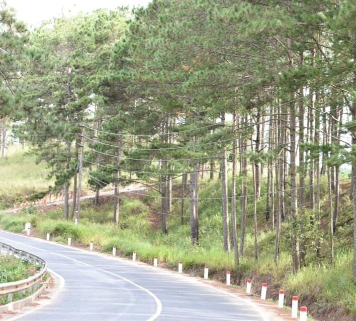 Du lich Da Lat anh 11