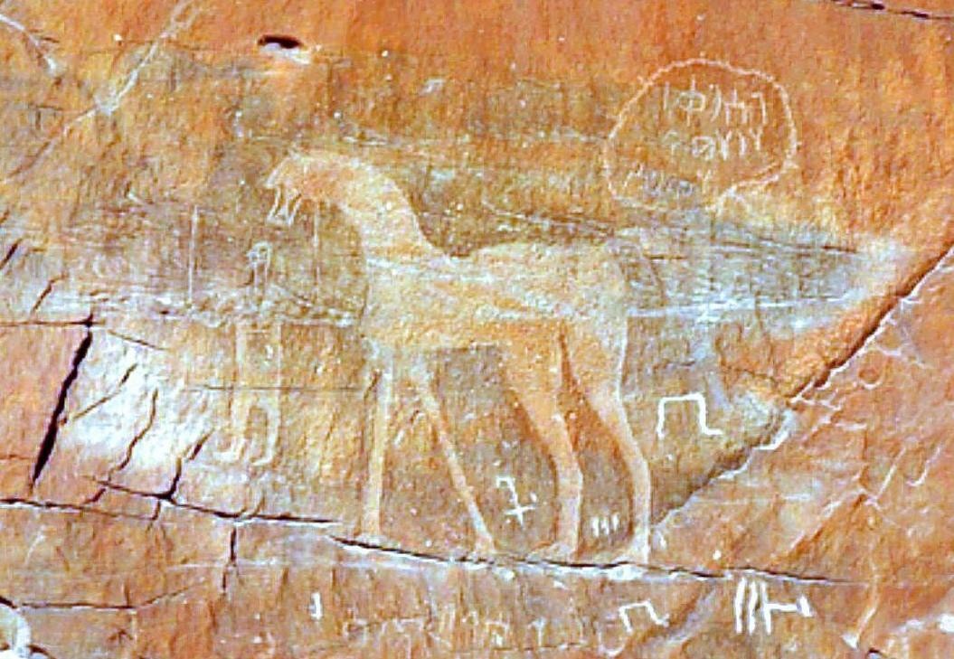 Du lich Arab Saudi anh 7