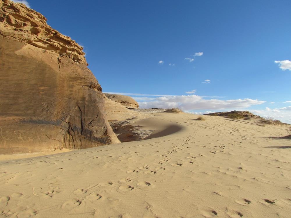 Du lich Arab Saudi anh 2