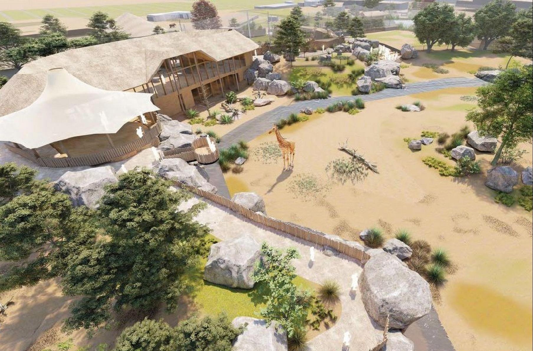 Ngu qua dem quanh noi o cua dong vat hoang da hinh anh