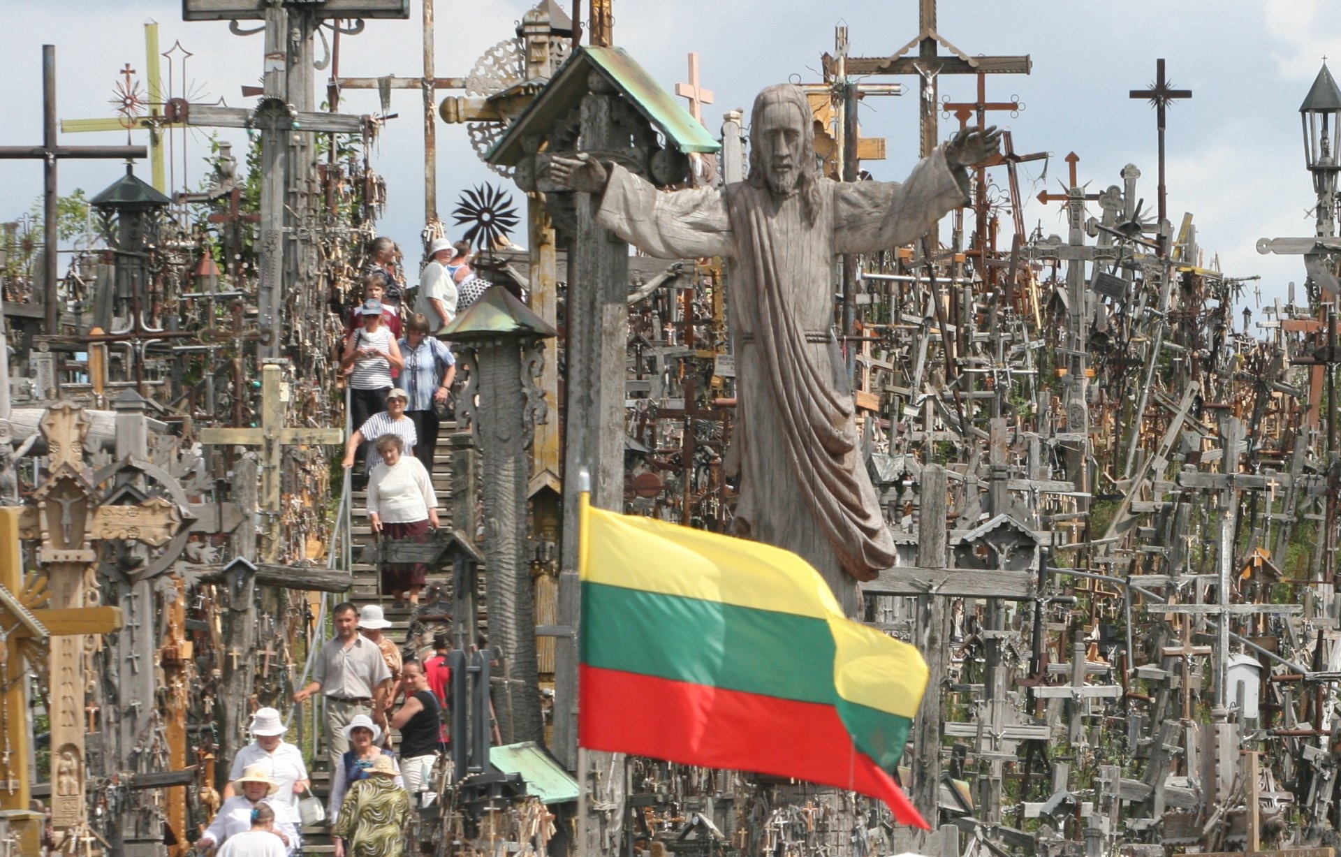 Ngon doi  200.000 cay thanh gia anh 4