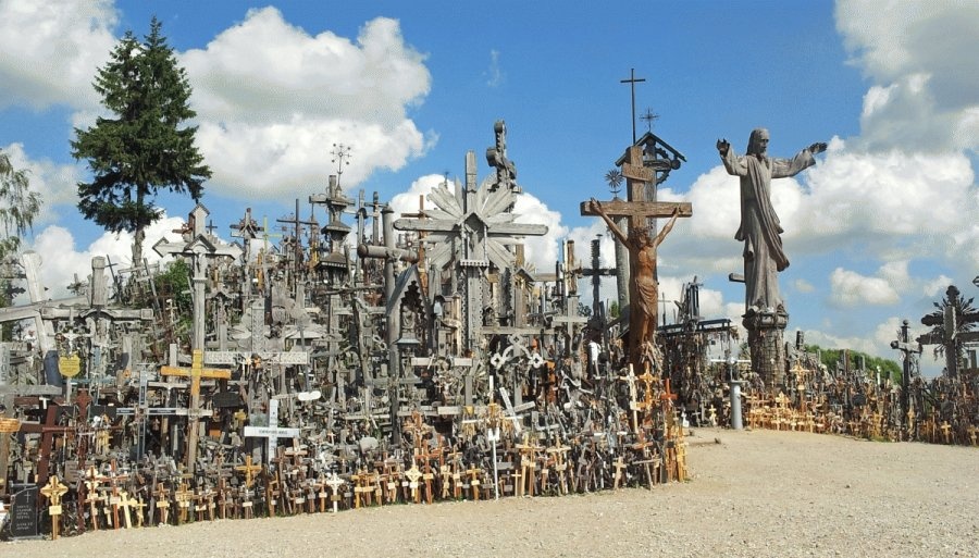 Ngon doi  200.000 cay thanh gia anh 5