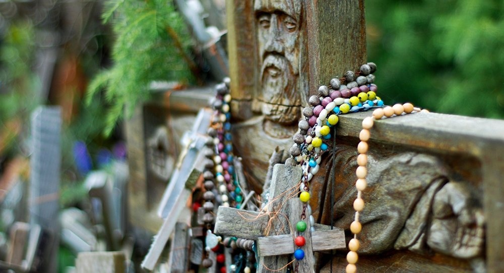 Ngon doi  200.000 cay thanh gia anh 7