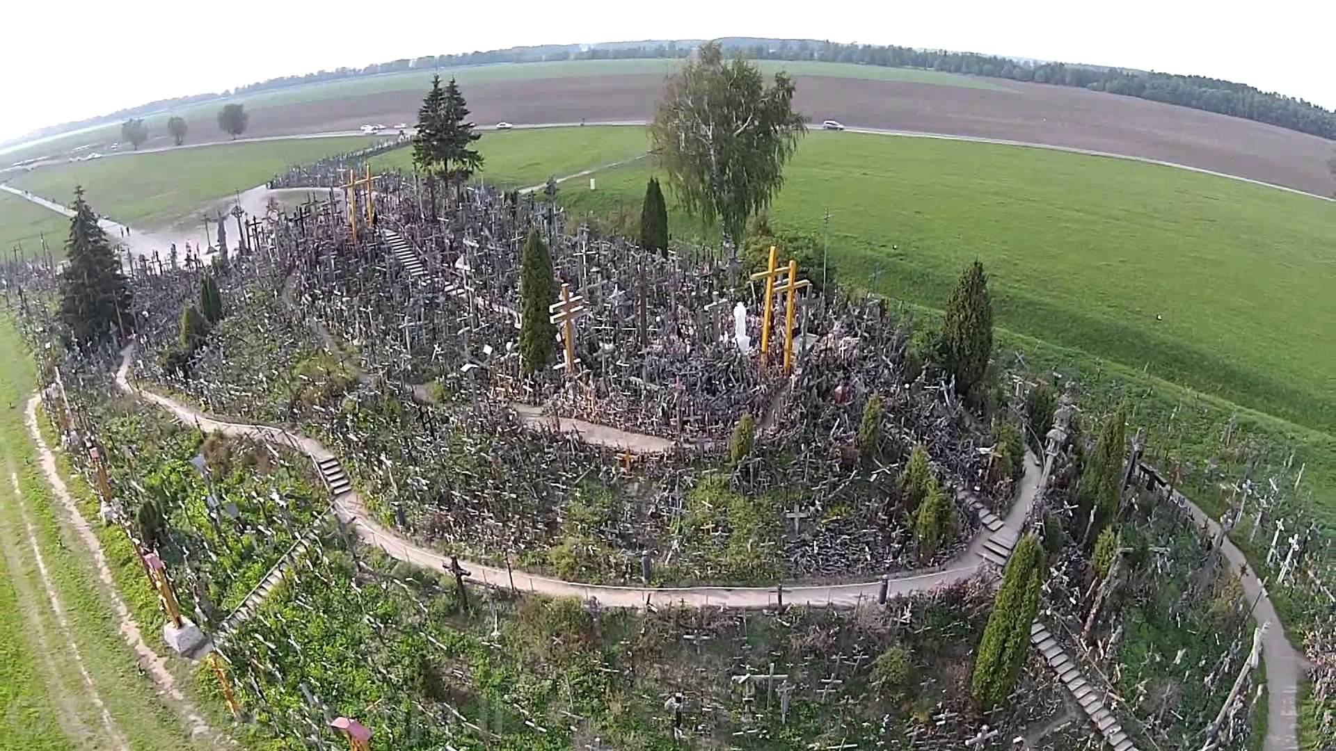 Ngon doi  200.000 cay thanh gia anh 1