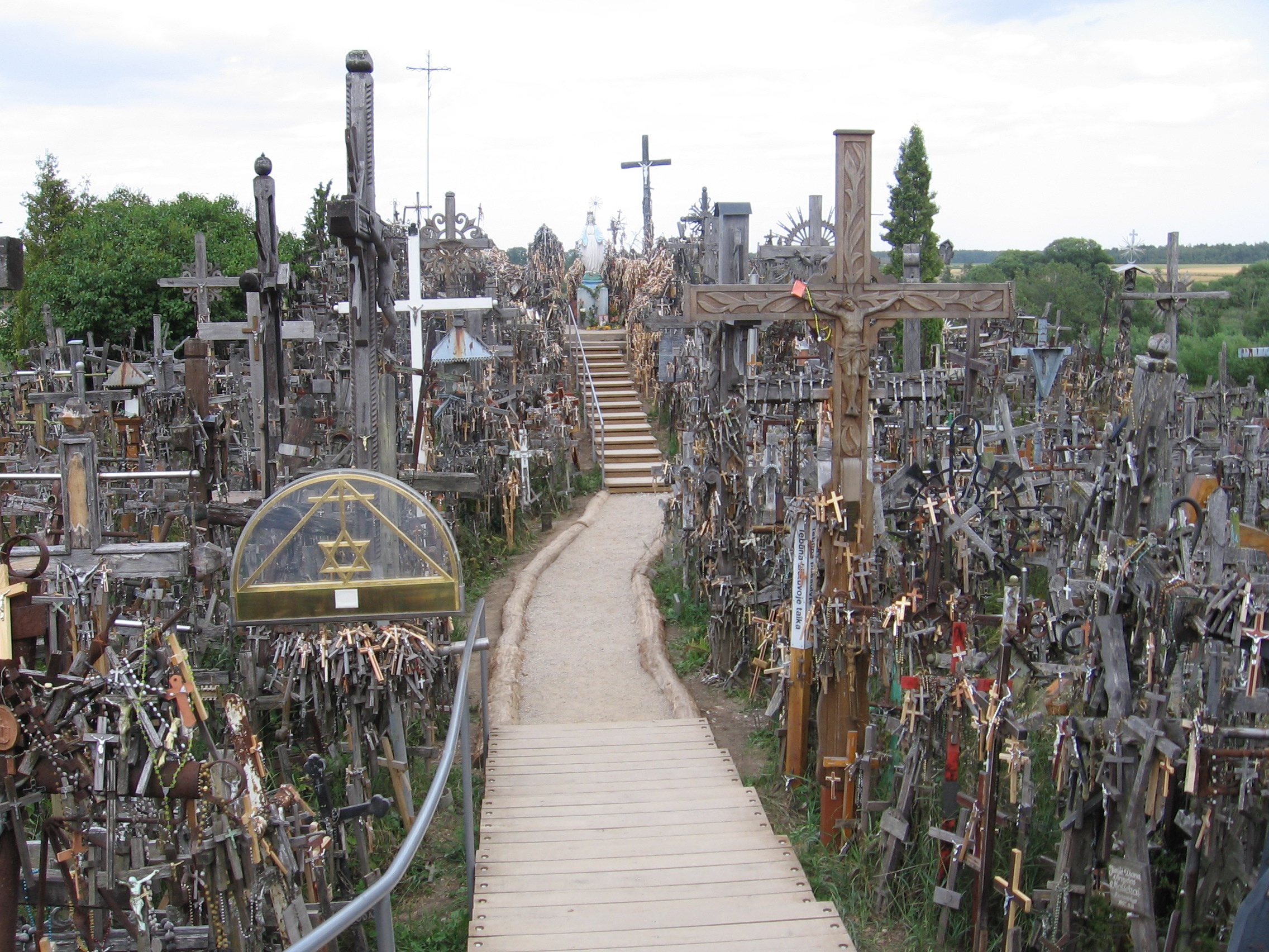 Ngon doi  200.000 cay thanh gia anh 3