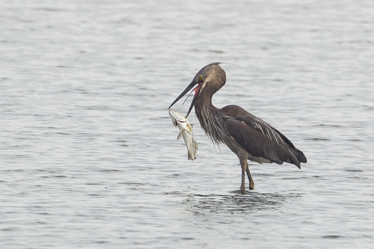 Du lich Singapore anh 6