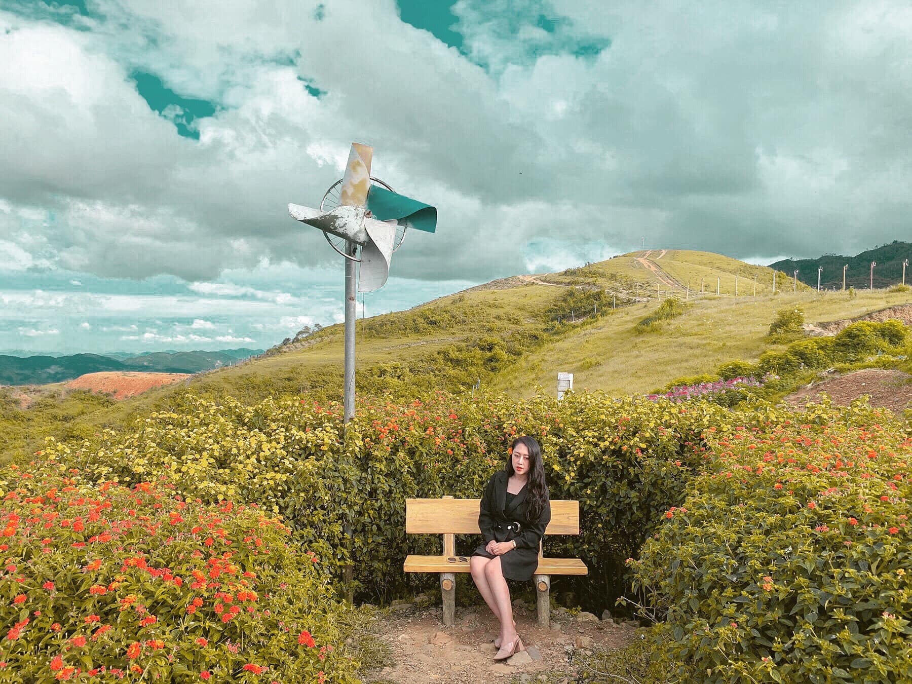 Vuon hoa tren deo Pha Din anh 11