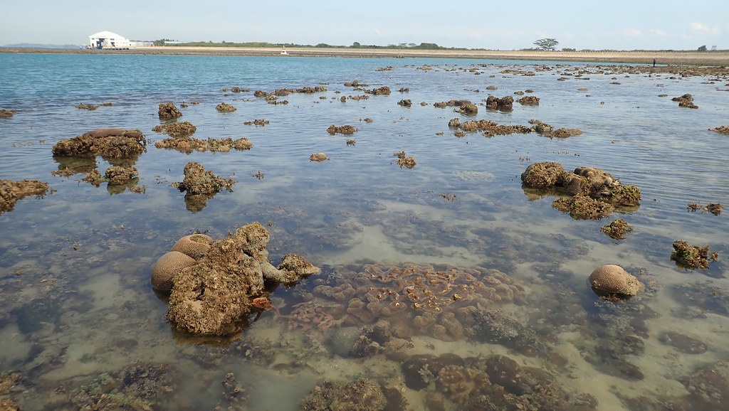 Du lich Singapore anh 7