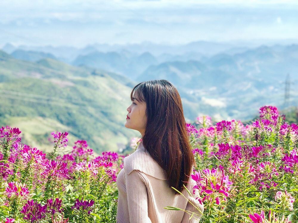 Vuon hoa tren deo Pha Din anh 5