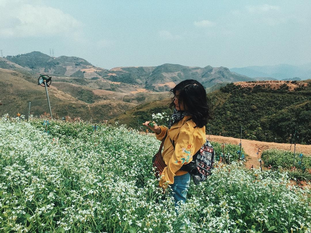 Vuon hoa tren deo Pha Din anh 9