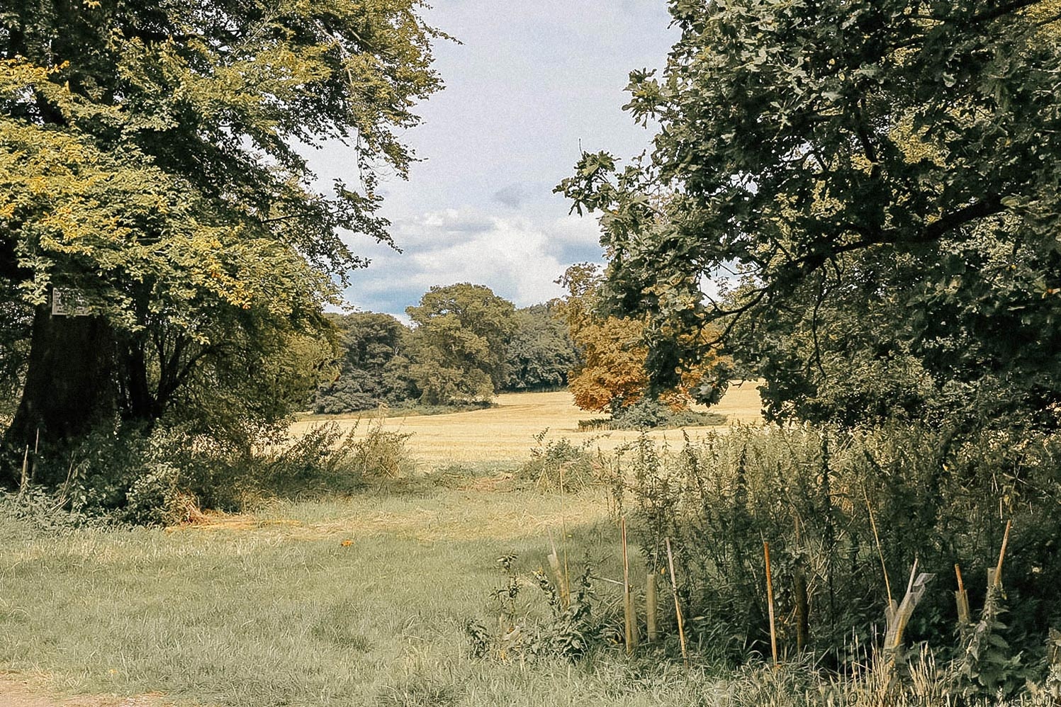 Dia diem du lich o Anh anh 1