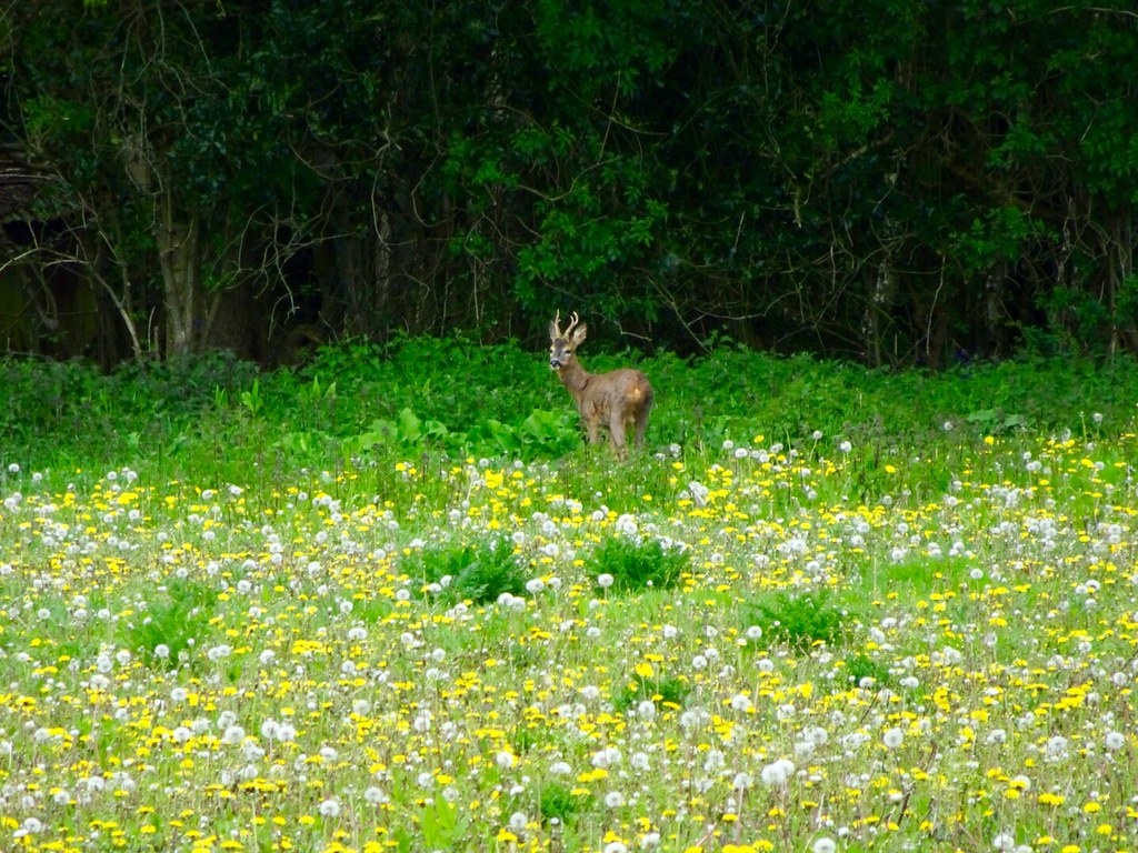 Dia diem du lich o Anh anh 2
