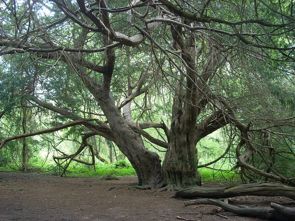 Dia diem du lich o Anh anh 5