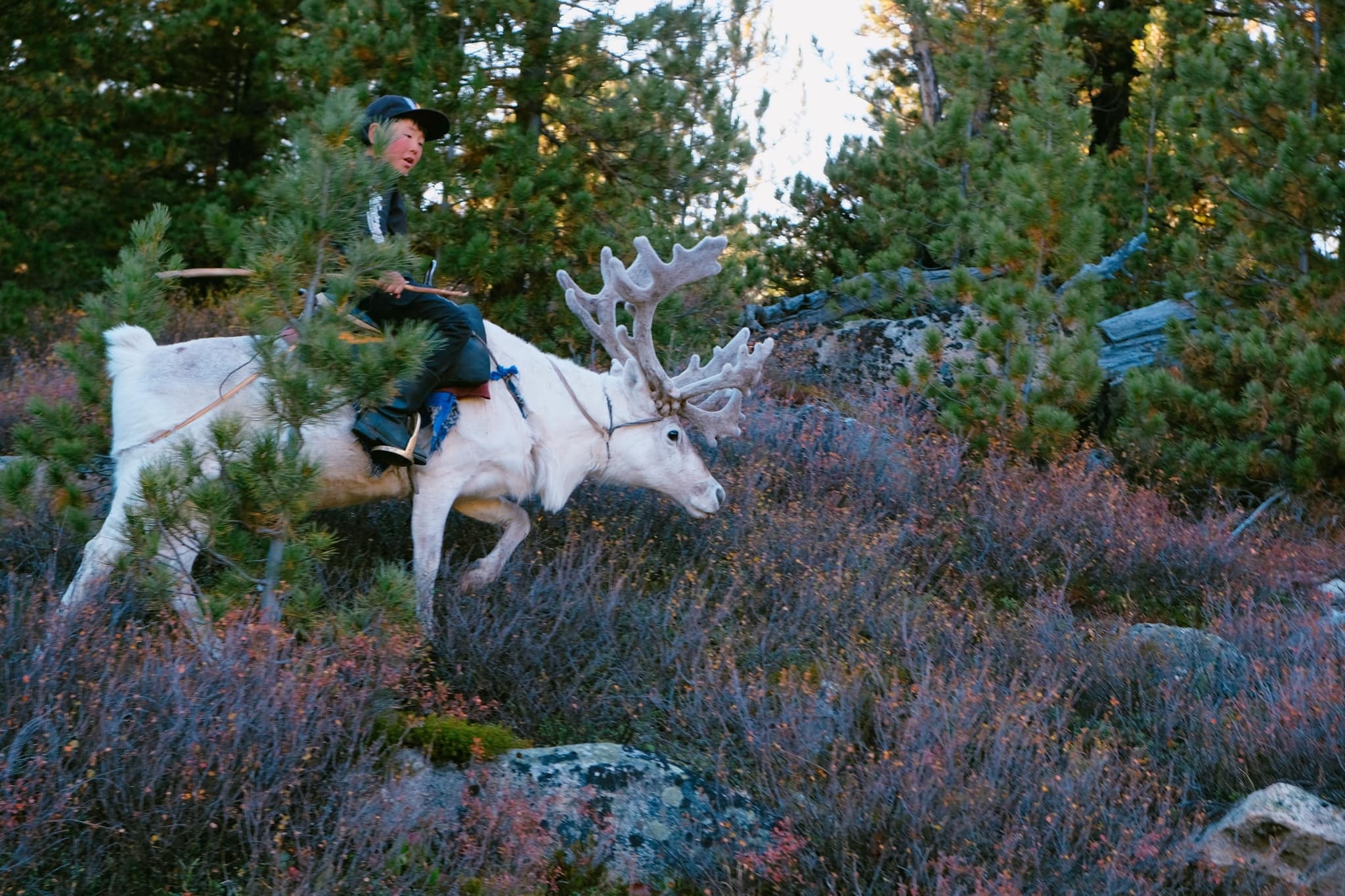 Du lich Mong Co anh 9