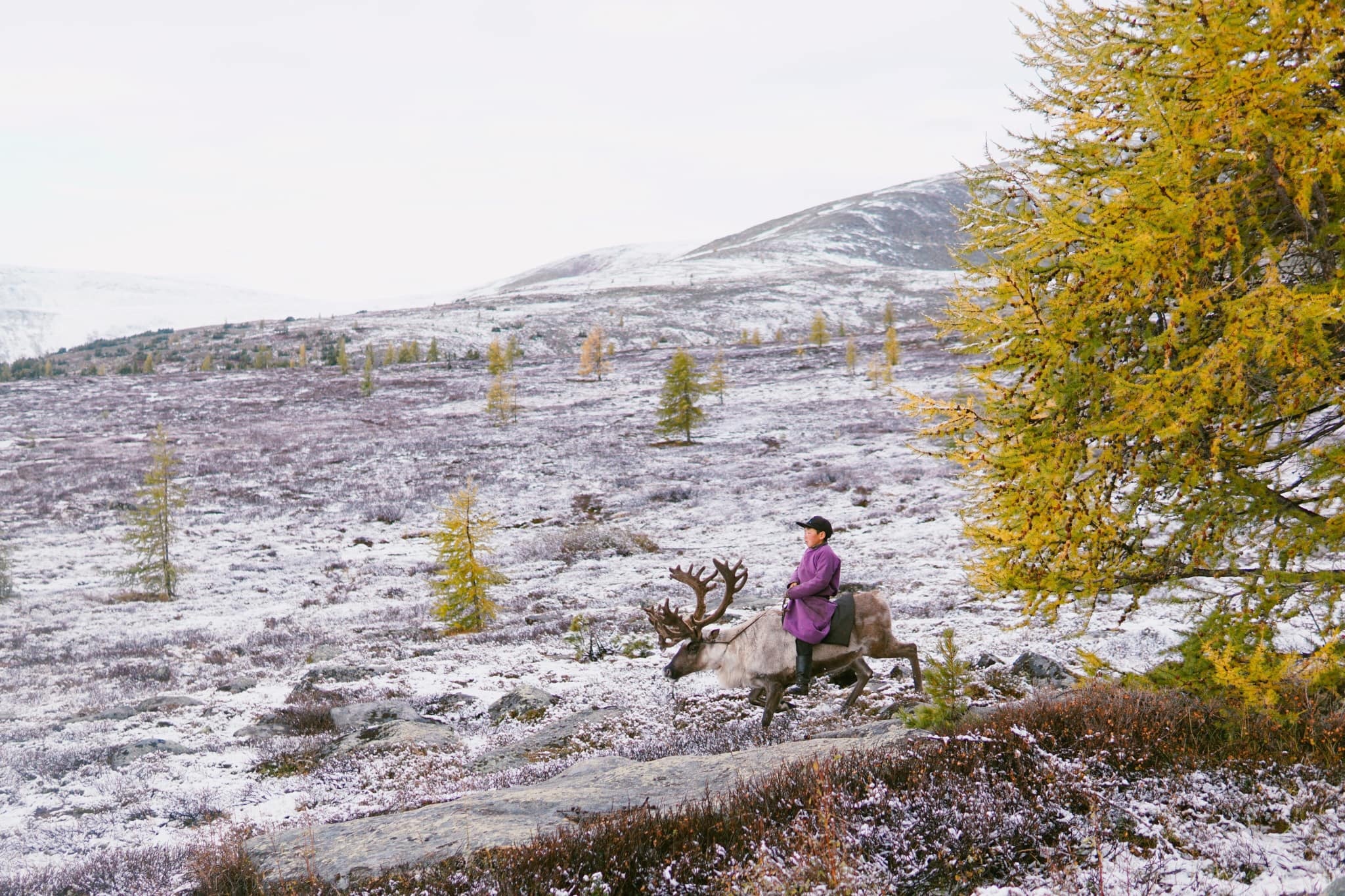 Du lich Mong Co anh 15