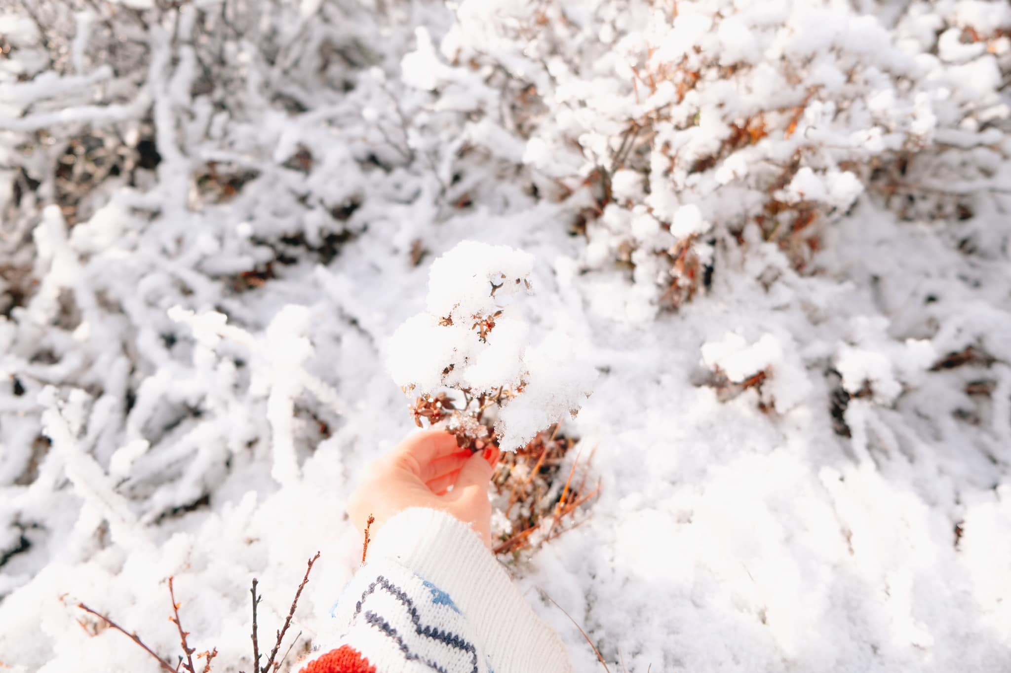 Du lich Mong Co anh 16