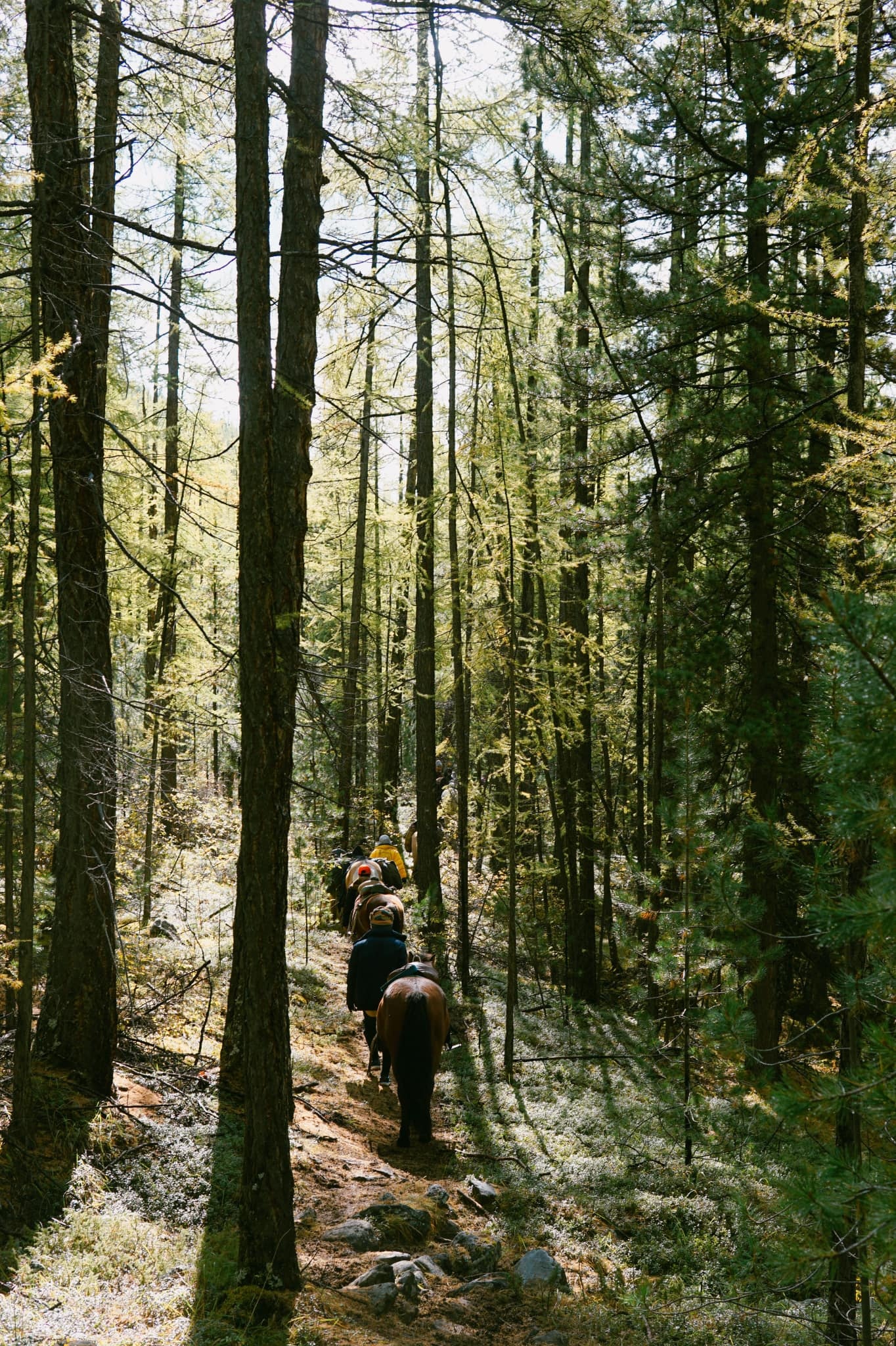 Du lich Mong Co anh 7