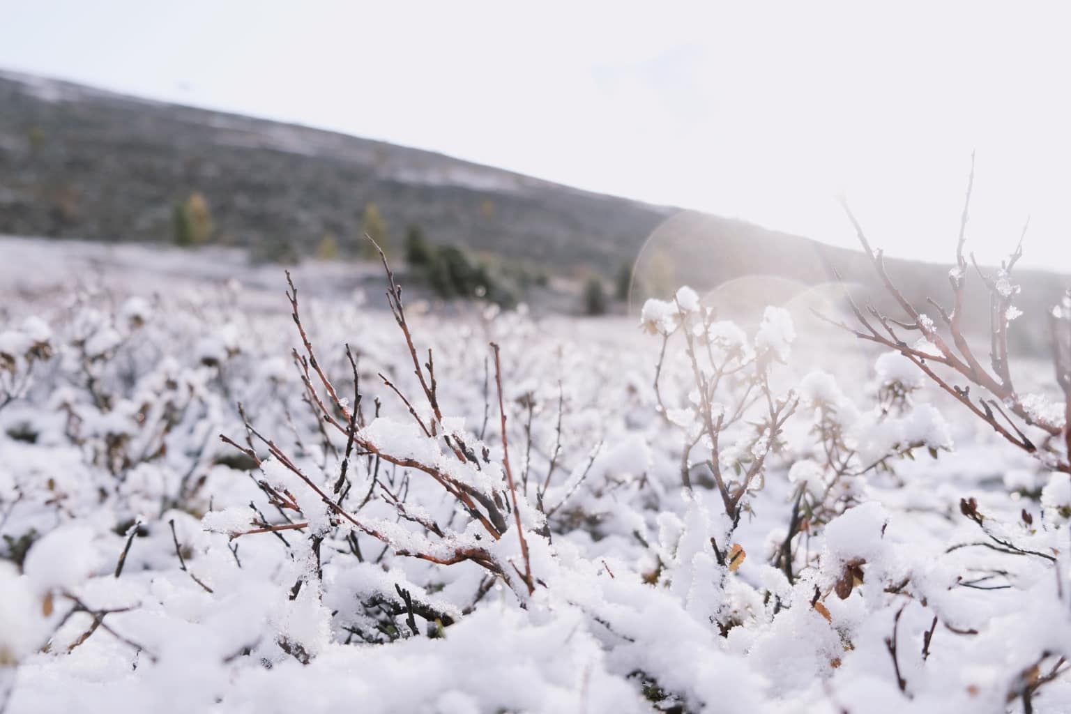 Du lich Mong Co anh 18