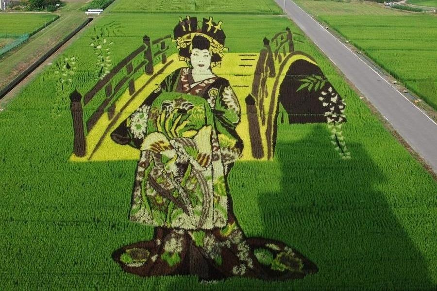 Nghe thuat trong lua dinh cao cua nguoi Nhat hinh anh