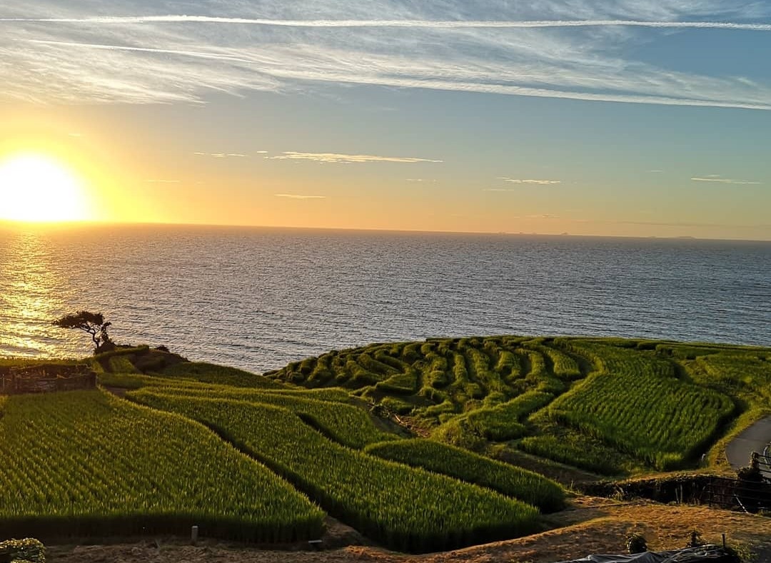 Du lich Nhat Ban anh 11