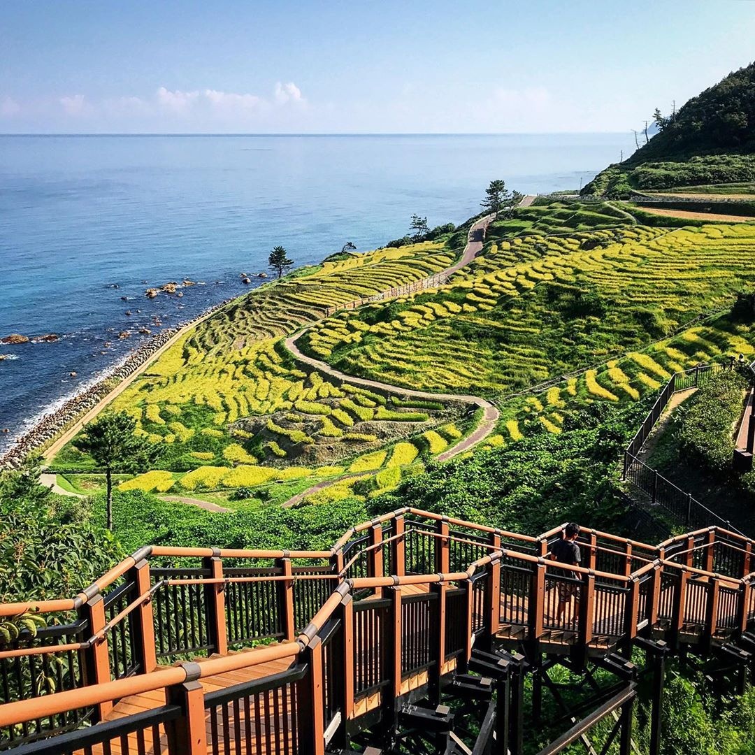 Du lich Nhat Ban anh 3