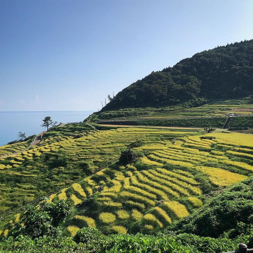 Du lich Nhat Ban anh 4