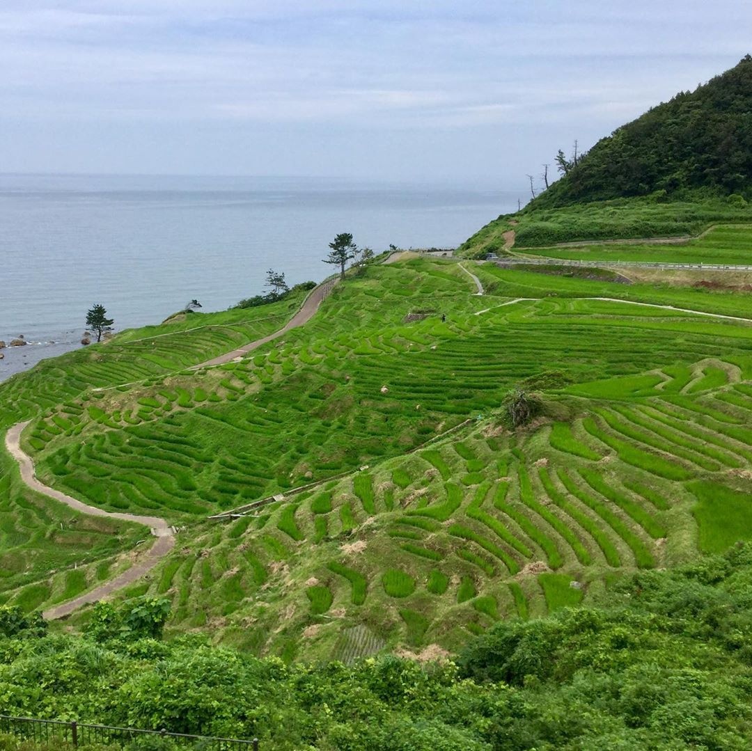 Du lich Nhat Ban anh 2