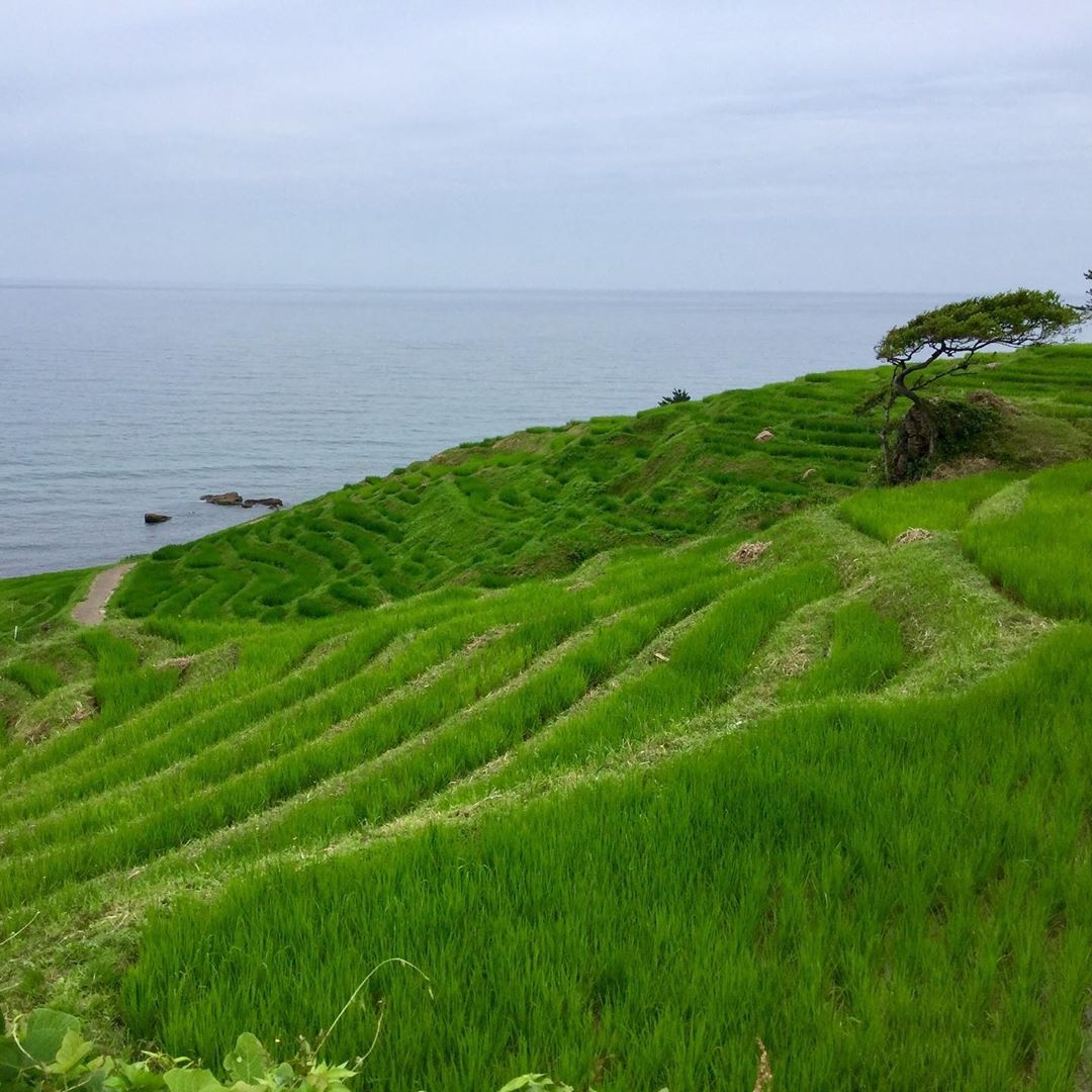 Du lich Nhat Ban anh 1