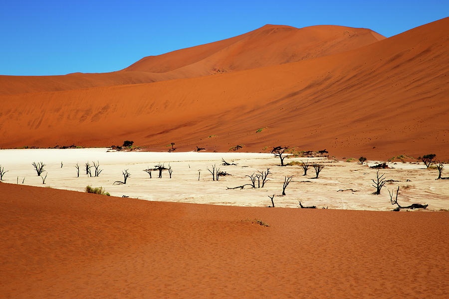 Sa mac Namibia anh 2