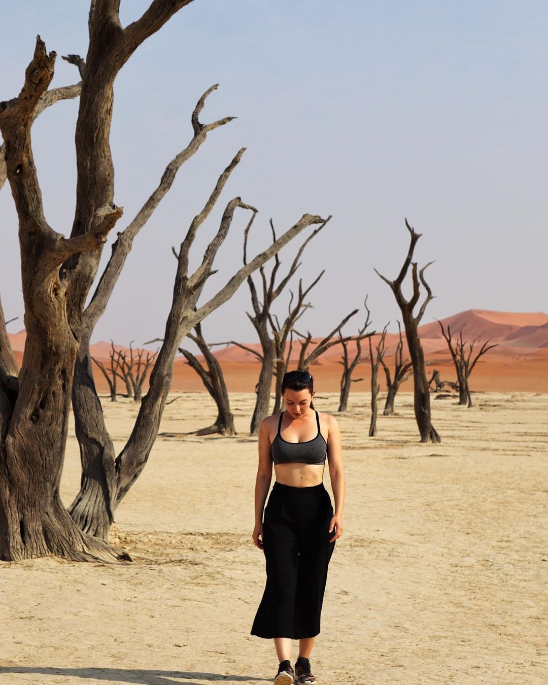 Sa mac Namibia anh 5