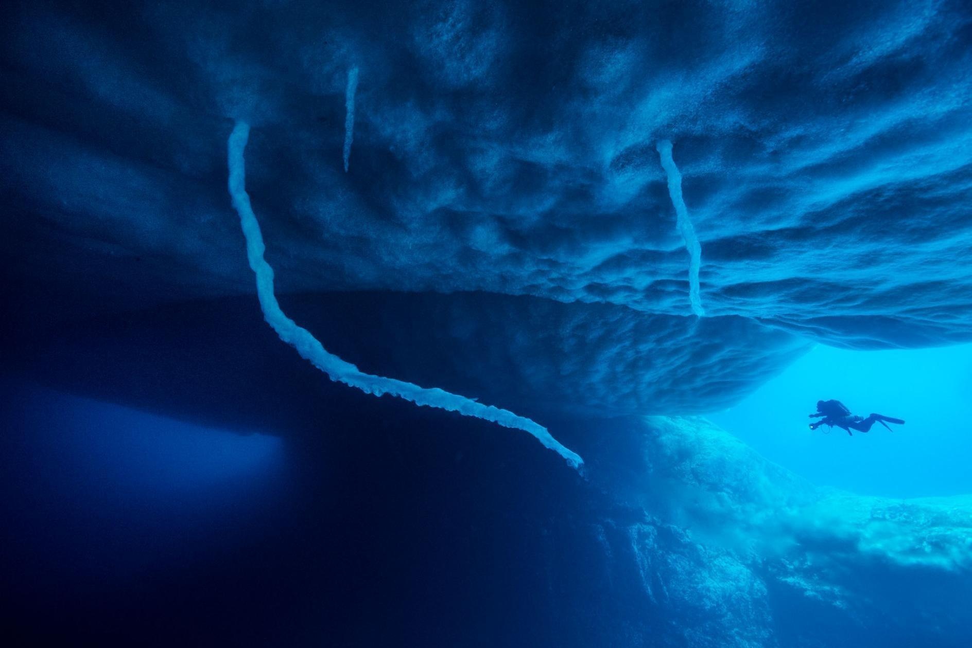 Ngon tay tu than can quet, dong bang moi sinh vat duoi day bien hinh anh