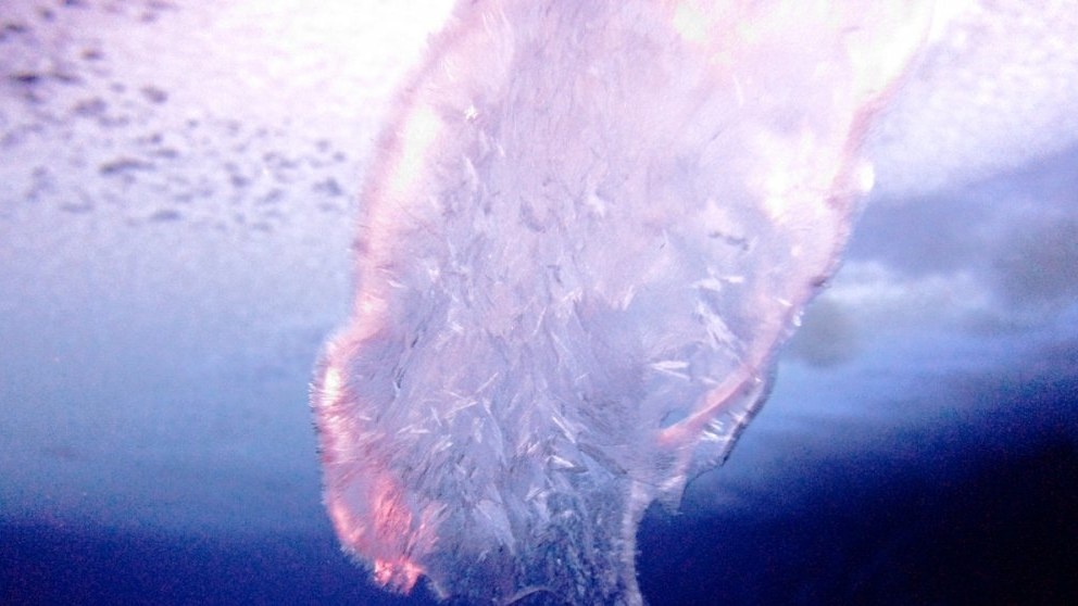 Hien tuong duoi bien anh 6