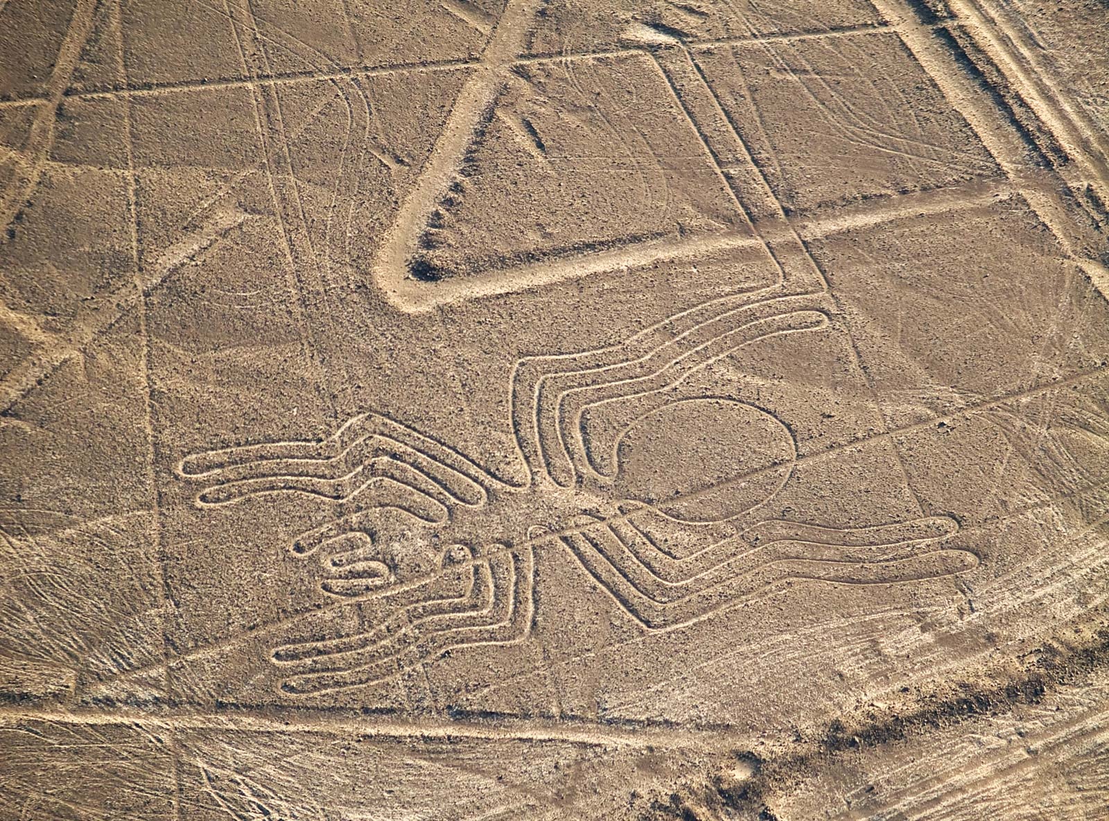 Hình vẽ Nazca ảnh 2 Hinh ve Nazca anh 2