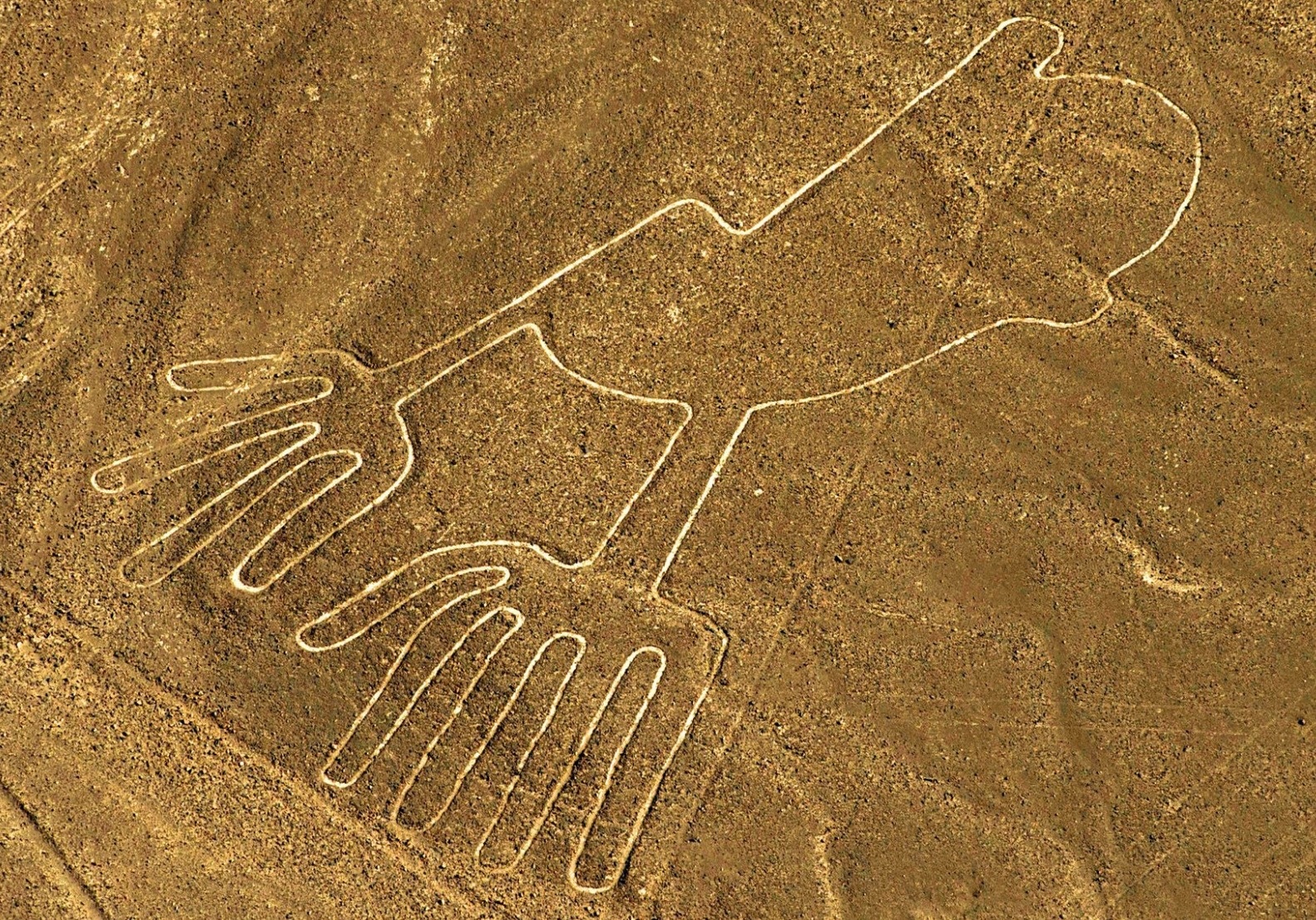 Hình vẽ Nazca ảnh 5 Hinh ve Nazca anh 5
