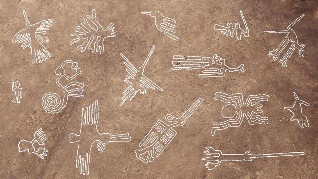 Hình vẽ Nazca ảnh 1 Hinh ve Nazca anh 1