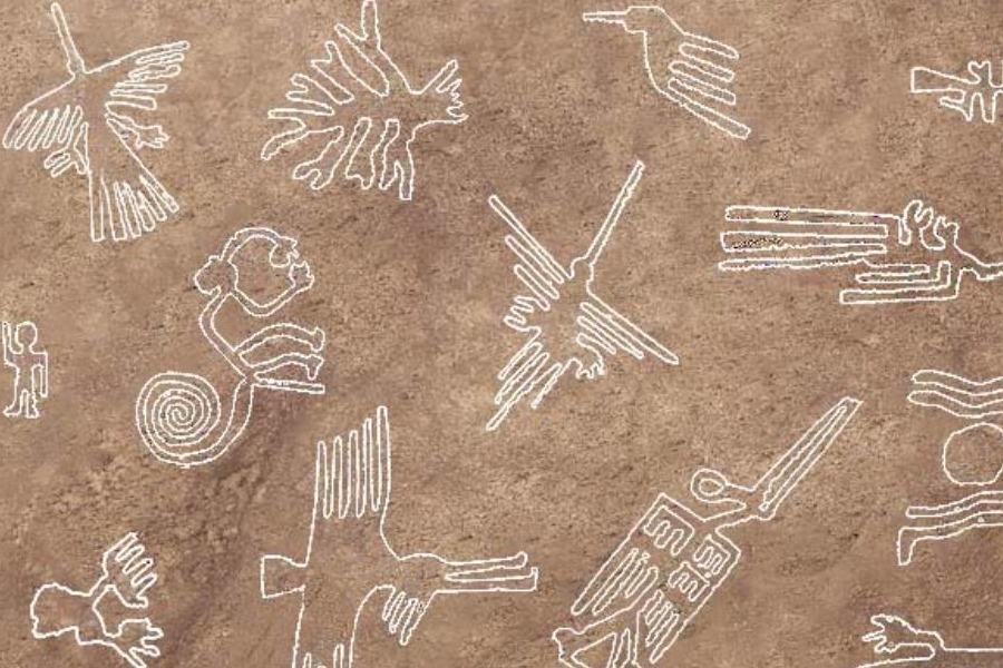 Loat net ve co dai tren dat nghin nam khong mo o Peru hinh anh