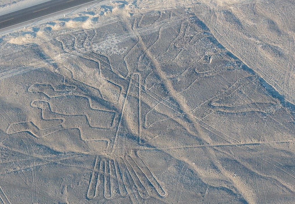 Hình vẽ Nazca ảnh 6 Hinh ve Nazca anh 6
