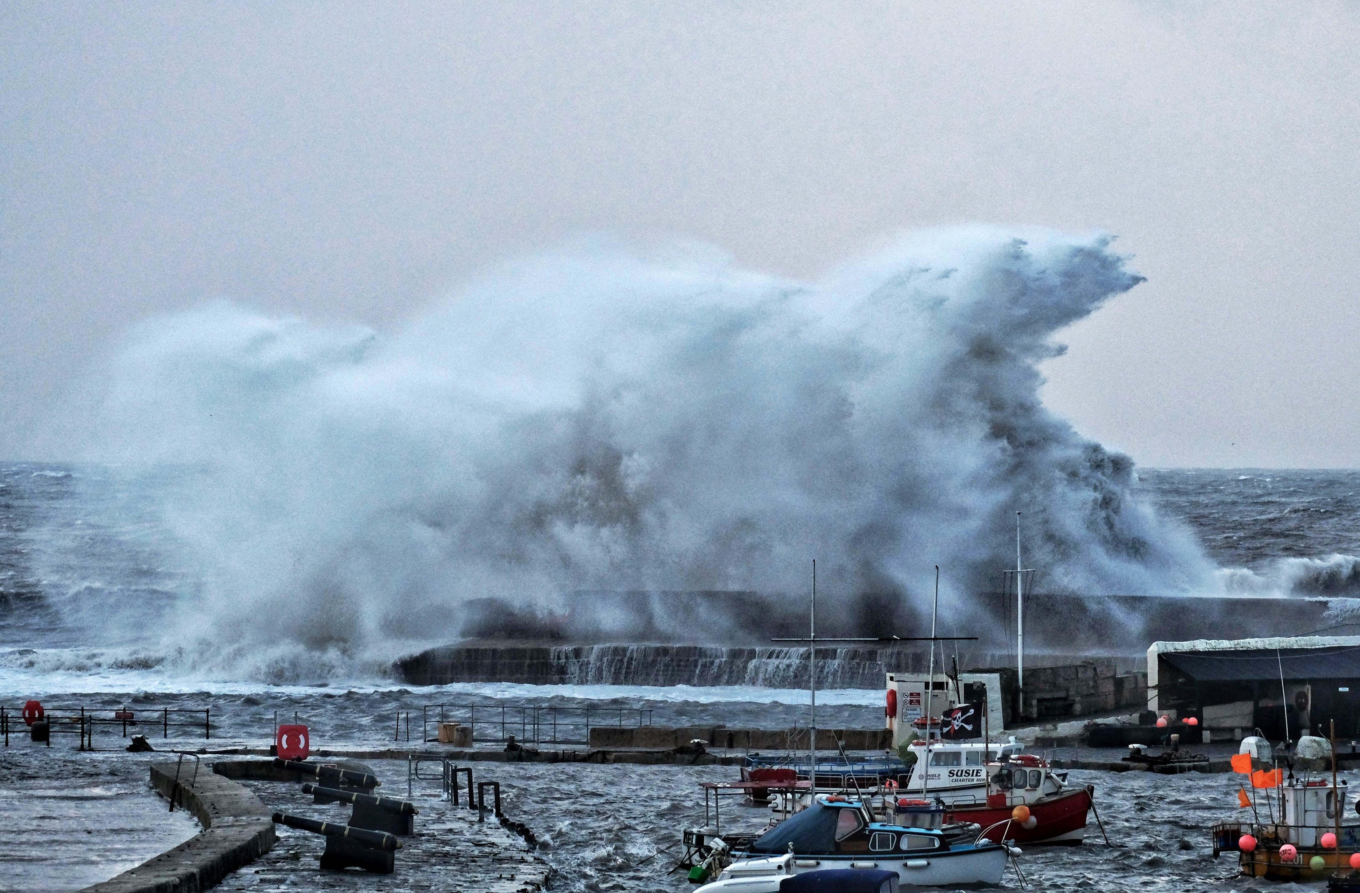 Con song ma nuot tron tau anh 6