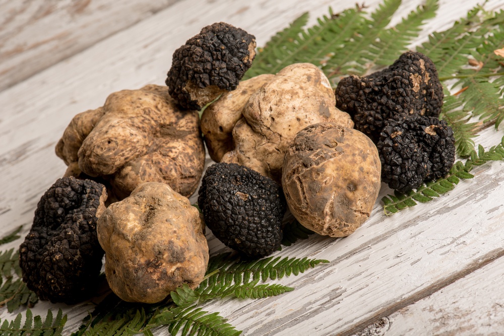Nam truffle danh cho gioi sieu giau anh 5