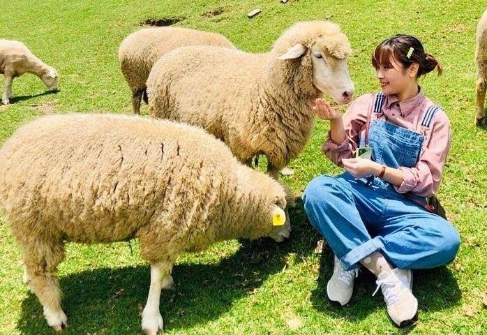 Nong trai cuu va 6 diem ngam la vang dep me hon gan Viet Nam hinh anh