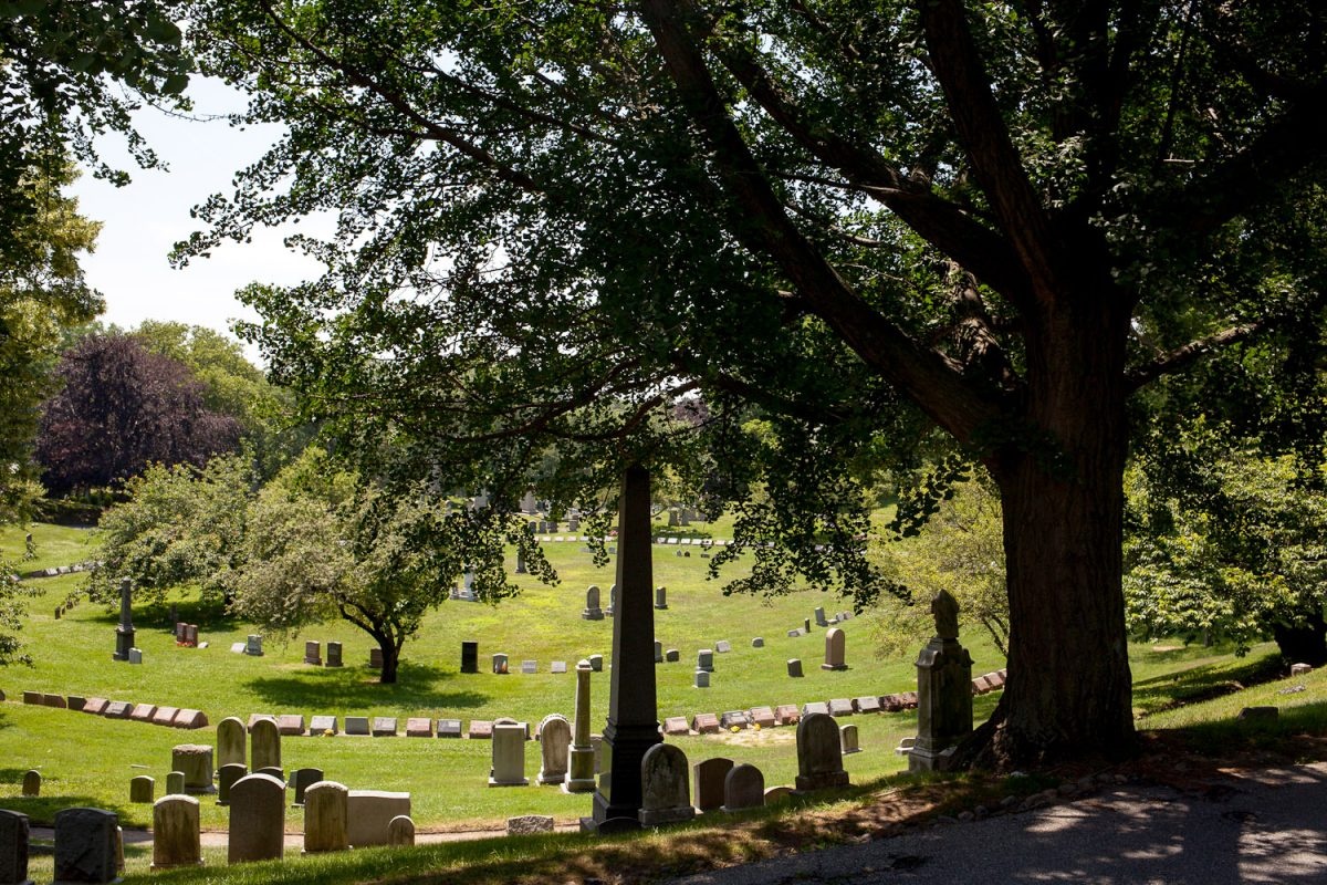 Nghia trang nha giau o My anh 6