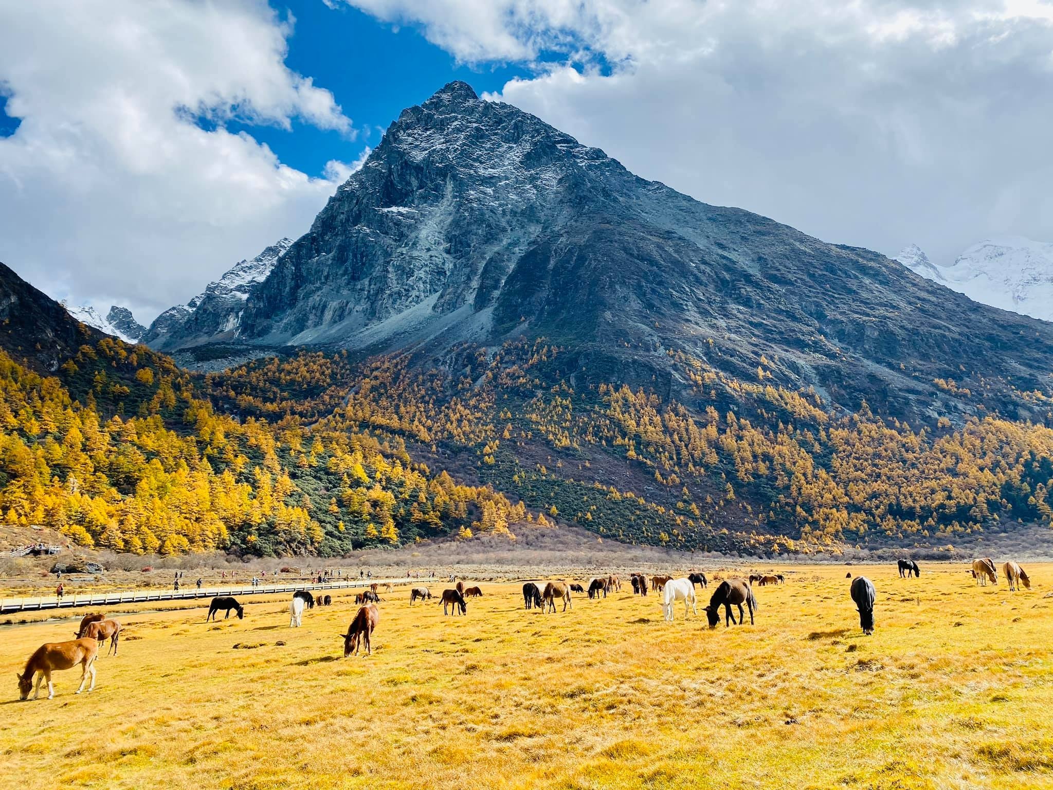 Mua thu Trung Quoc anh 2